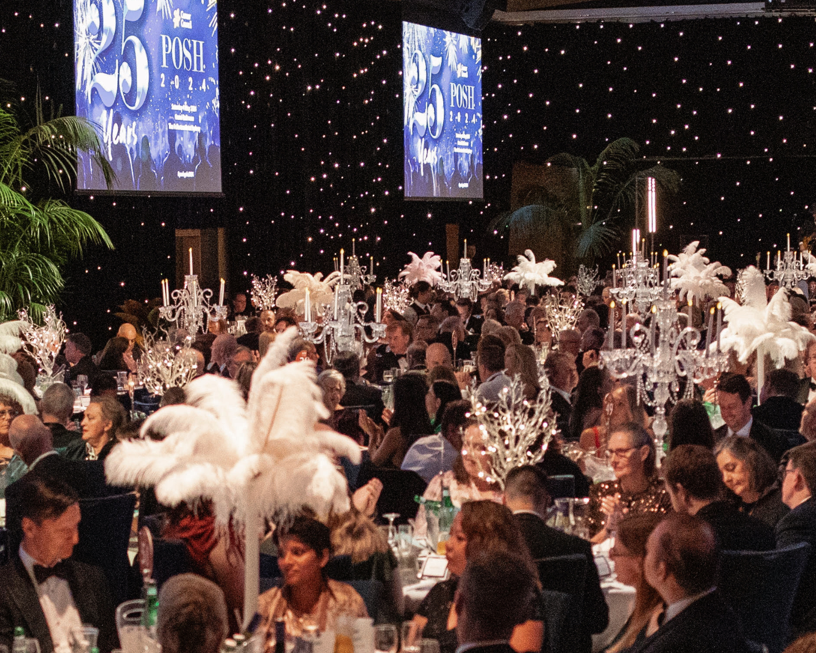 THE CANCER COUNCIL'S 25th POSH GALA BALL
